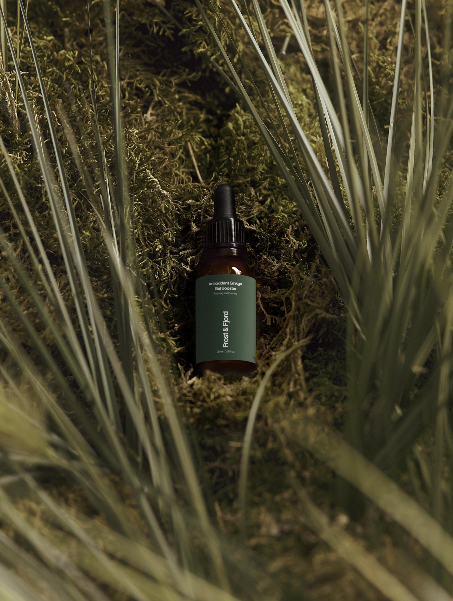 Antioxidant Ginkgo Gel Booster